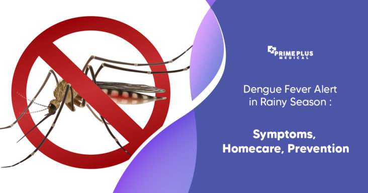 Dengue Fever Alert in Rainy Season: Symptoms, Homecare, Prevention